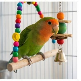 A lovebird perched on a colorful cage toy